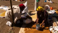 Qonnaan bulaa xaafii bitaa turan