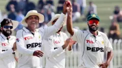 پاکستانی سپنرز