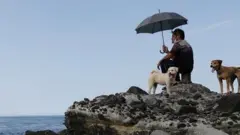 তাইওয়ান