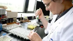 Belçika'da bakterilerle ilgili çalışan bir bilim insanı.