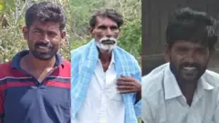 புலிகள் மரணம், வனம், சிறுத்தை, கால்நடைகள், இயற்கை 