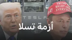 هل يقود إيلون ماسك تسلا إلى السقوط كما قادها إلى القمة؟
