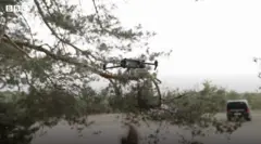 flying drone