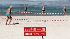 華人談天下