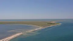 Бирючий