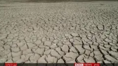 وچکالي