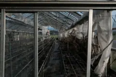 Uma estufa abandonada em Futaba, província de Fukushima, Japão