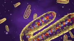 Ami idamọ arun Malburg