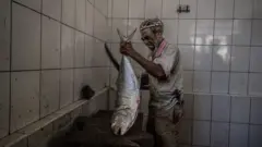 Umugabo ufashe ifi nini mu kiganza yitegura kuyibaga