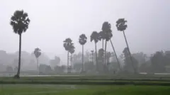 ગુજરાતનું હવામાન ચોમાસું