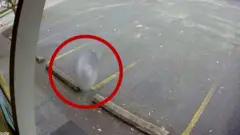 sečivo testere za beton na parkingu