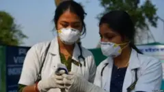 फॅक्ट चेक