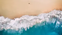 سمندرونه د ځمکې د کُرې تر ۷۰ سلنې ډېره برخه جوړوي. دوی د نړۍ شاوخوا ۵۰ سلنه اکسیجن برابروي او د ځمکې له اټموسفیر نور کاربون ډایډ اوکسایډ جذبوي.