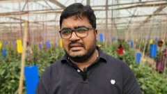 ખેડૂત મરચા