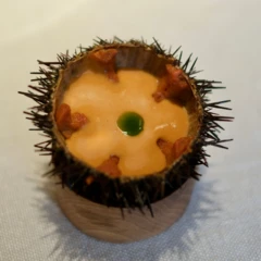 Ouriço de mar de Arginzoniz