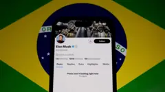 Аккаунт Маска на фоне бразильского флага