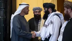 TAliban 
