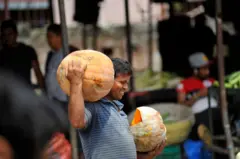 भोपळ्यामुळे कुपोषणावर मात करता येणार का? वाचा