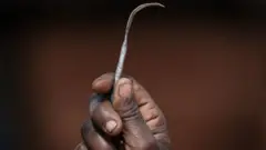 Umugore yahoze akeba abakobwa yerekanye icuma yakoresha mu bukeba abakobwa hari mu nyigisho zo kurwanya ikebwa ry'abana b'abakobwa
