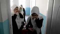 نجونې
