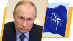 Випуск новин
