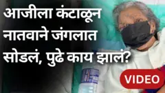 आजी आणि नातवाचा शोध