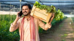 પ્રતીકાત્મક તસવીર બોગસ ખેડૂત ખેતી વરસાદ ચોમાસું પાક ખેતર પશુપાલન ગુજરાત ગુજરાતીમાં સમાચાર બીબીસી જો તમારા બાપદાદા ખેડૂત નથી તો તમે ગુજરાતમાં ખેતીની જમીન ખરીદી શકતા નથી. (પ્રતીકાત્મક તસવીર)