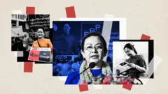 ဒေါက်တာသက်သက်ခိုင် သရုပ်ဖော်ပုံ