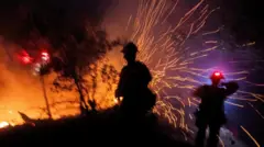 የሎስ አንጀለስ ሰደድ እሳት 