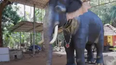 ဆင်ရုပ်ကို သံကိုယ်ထည်နဲ့ ပြုလုပ်ထား