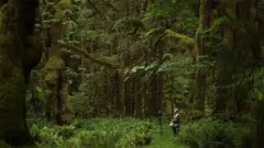Hempton en medio de un bosque