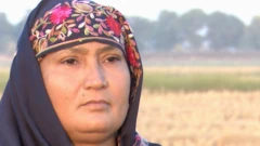 گوجرانوالہ، سموگ، پنجاب، چاول، خواتین