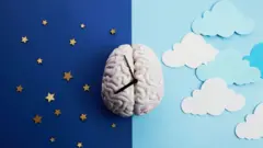 የአንጎል ምልክት፣ ምሽትና ቀን የሚወክል ምስል