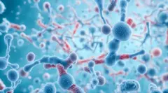 سائنسدانوں جانتے ہیں کہ جسم کو نقصان پہنچانے والے یہ سفید خلیے تھامیس غدود میں ختم ہو جائے ہیں، یہ جسم میں موجود وہ جگہ ہے جہاں سفید خلیے بنتے ہیں۔ 