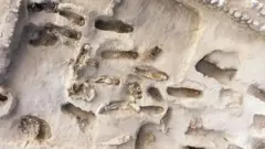 मुलांचे सांगाडे