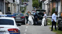 daruvar, ubistvo u staračkom domu u Hrvatskoj