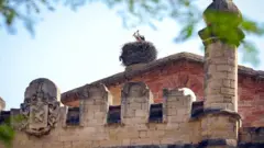 "Реконструкція відчуття". П'ять маловідомих туристичних об'єктів на півдні України, які варто відвідати