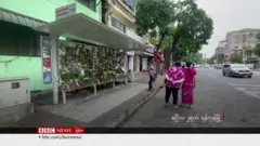 စစ်တပ်ပစ်လို့ ကျဆုံးခဲ့သူ ၅၀၀ကျော် အတွက် နွေဦး ပန်းသပိတ်