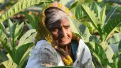 મહિલા ખેડૂત