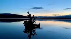 Giancarlo Bell came across this eerily still scene on Loch Morlich