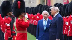 Трамп, Карл и солдаты почетного караула