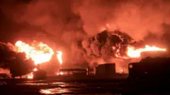 الانتخابات الرئاسية الأمريكية 2024