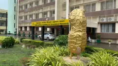 જૂનાગઢ મગફળી
