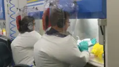 CSIRO
