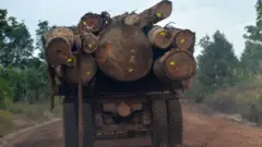 Sebuah truk mengangkut hasil penebangan pohon untuk pembukaan lahan di wilayah Kalimantan Tengah