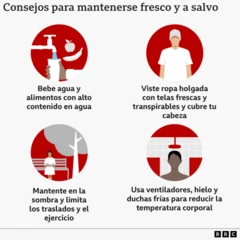 gráfico