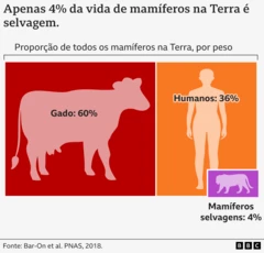 Gráfico mostrando a proporção de mamíferos na Terra em peso (ou biomassa) - 60% animais domésticos, 36% humanos e 4% mamíferos selvagens.