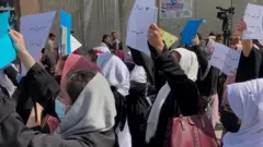 کابل لاریون