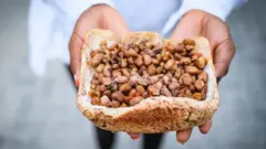 Un pain tartiné aux haricots