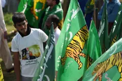 PMLN